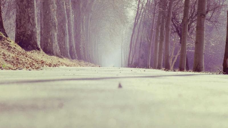 On-Chain Analysis: อ่านข้อมูล Blockchain